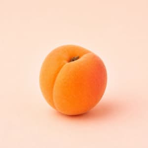 Apricot