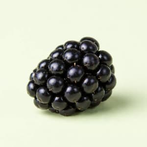 Blackberry