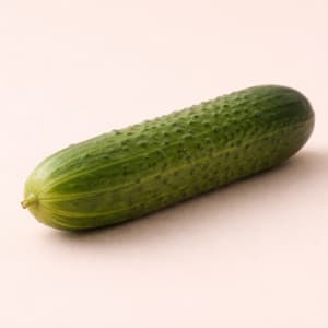 Cucumber