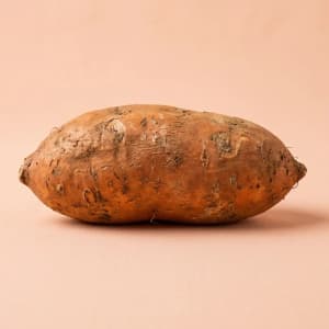 Sweet Potato