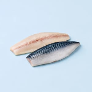 Mackerel