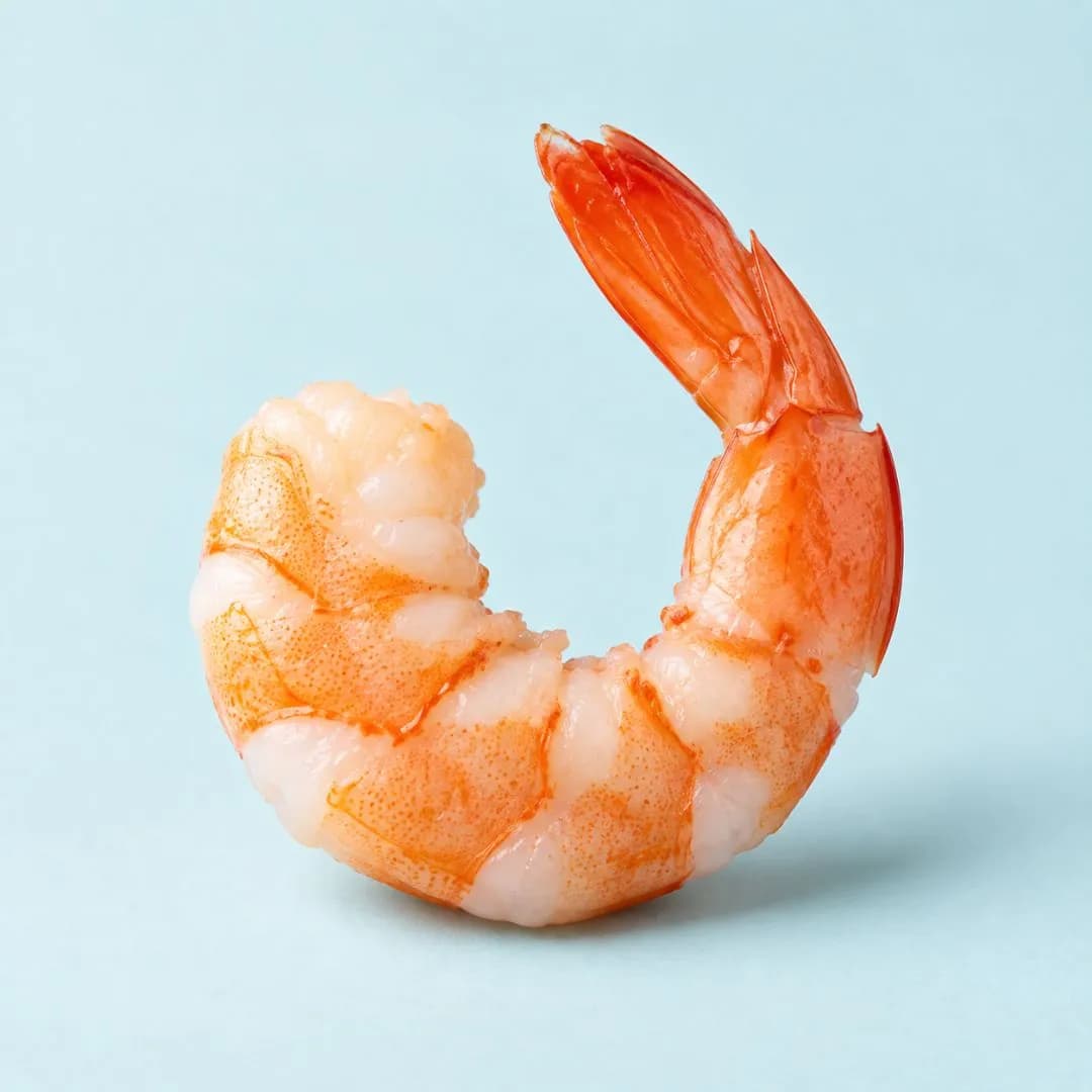 Shrimp