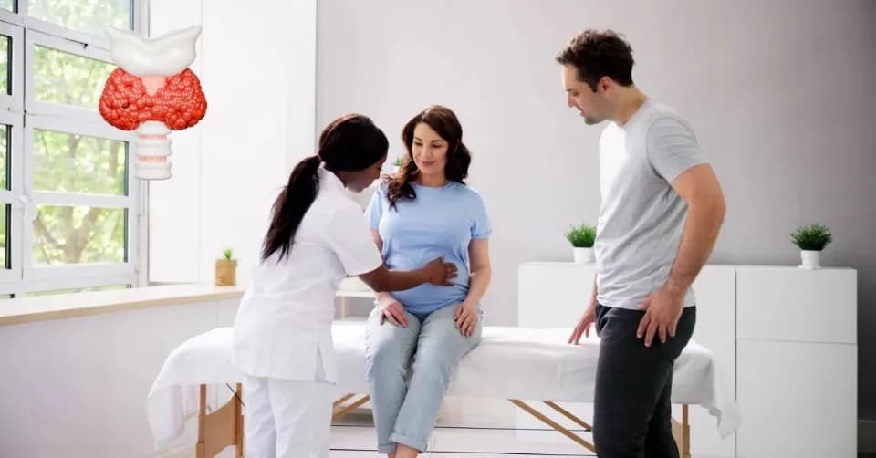 Fertility and Autoimmune Thyroid Disease: How TSH Alone Isn’t Enough