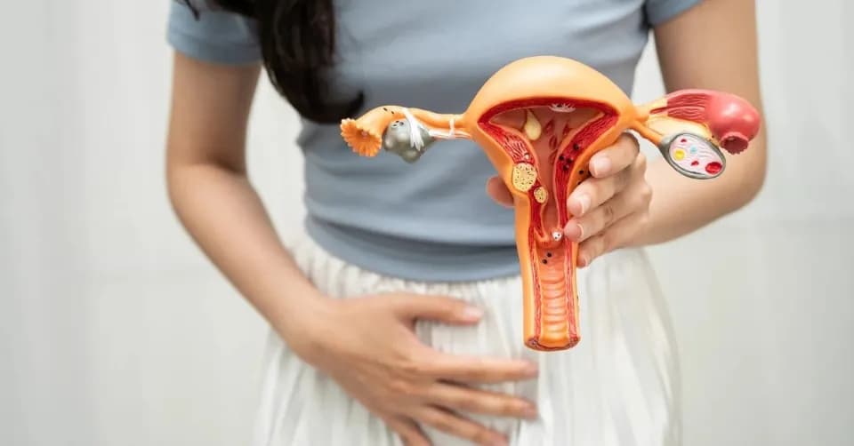 Uterine Septum and Miscarriage: How Hysteroscopy Can Improve Fertility